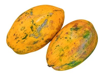 Photo du produit